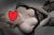 beylikduzu-escort-4-500x334